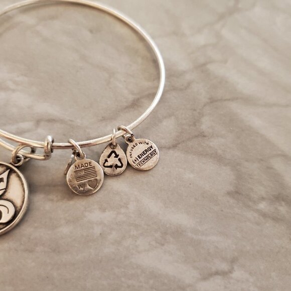 ⚜ Alex and Ani French Royalty Fleur de Lis Silver Expandable Charm Bracelet ⚜ - Picture 2 of 6